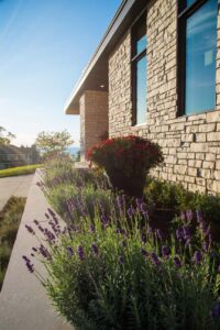 41944 Dune Falls Lindal OM Studio Elements (10)